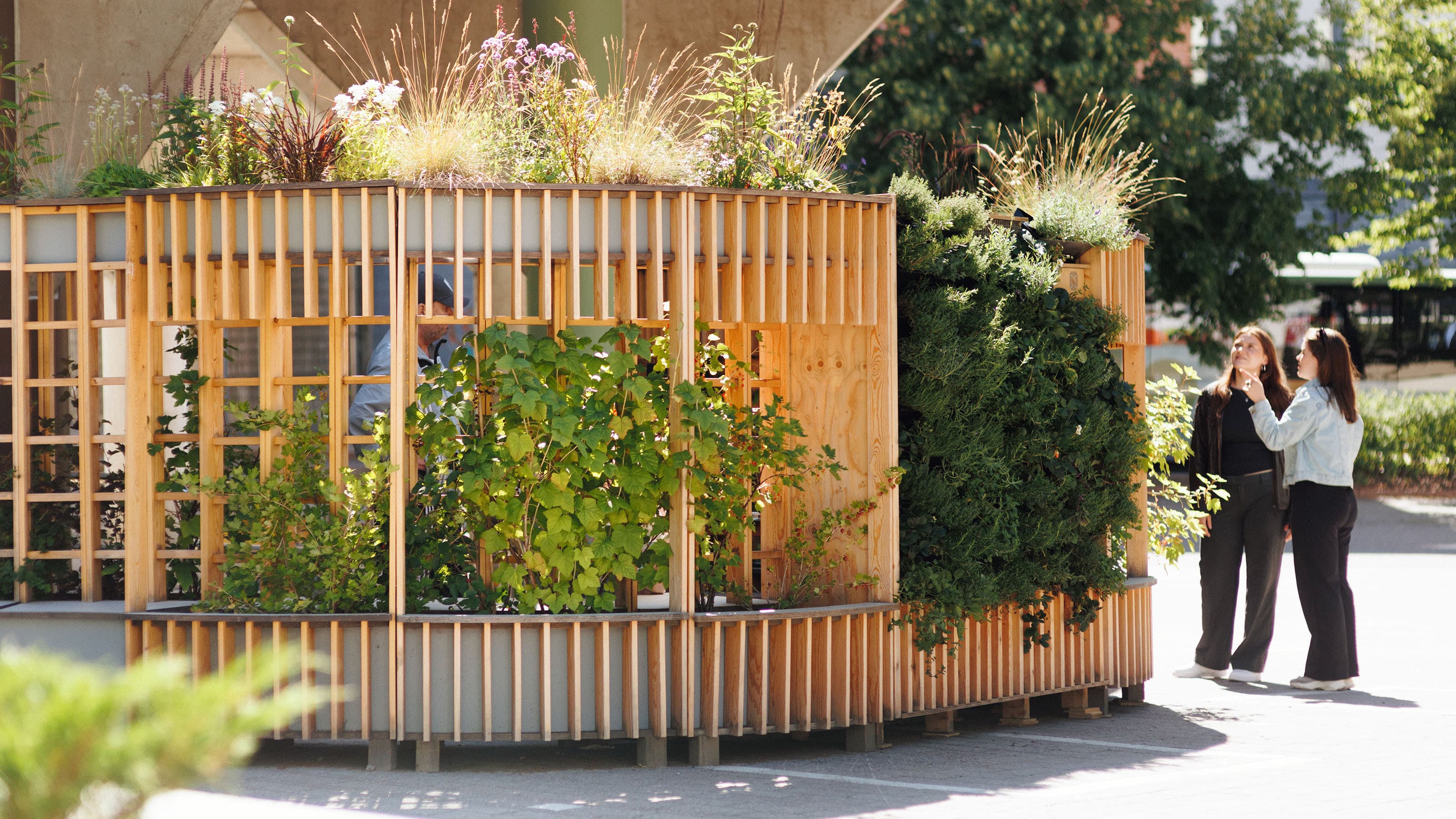 Green as a service Image